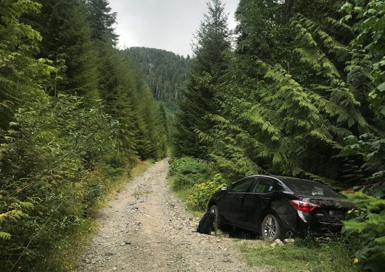 Air Search Finds Elderly Couple on Remote Logging Road