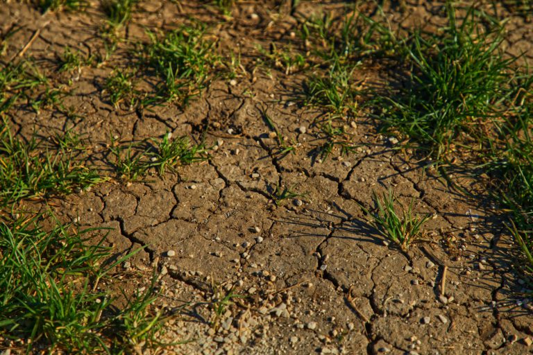 Dry July a New Record at Nanaimo Airport