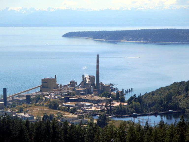 Powell River looking for new ways to use pulp mill following curtailment