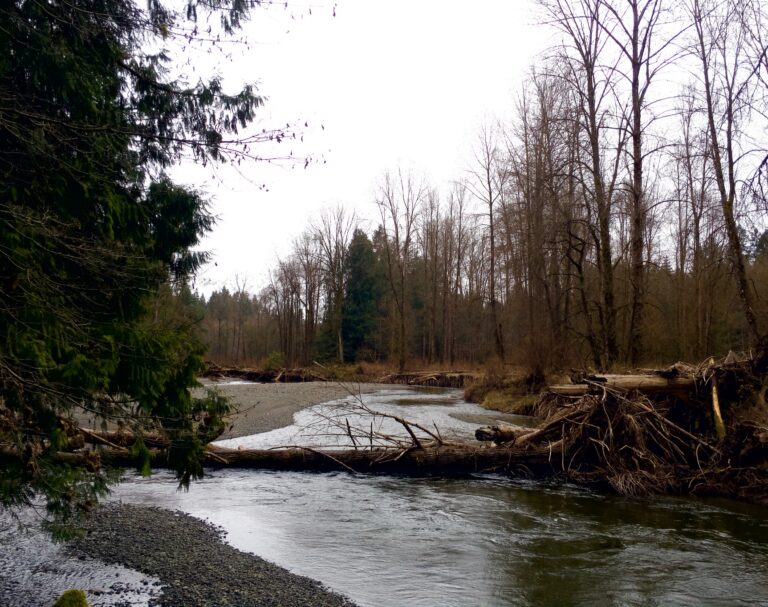 Agreement forged for planning the future of the Koksilah Watershed