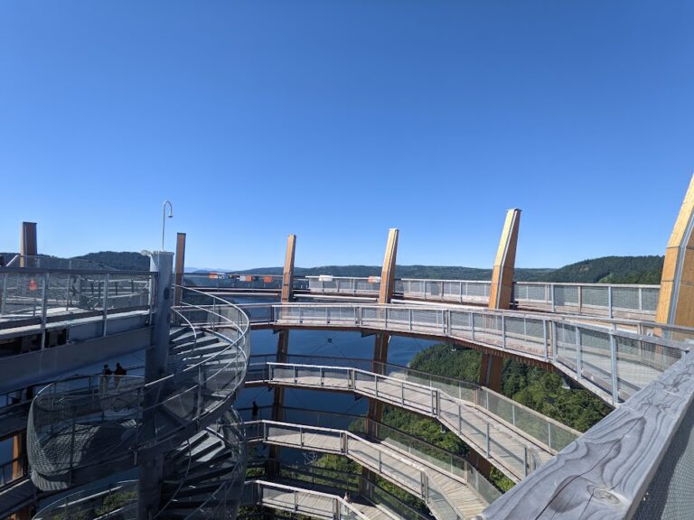 A look into the first year of the Malahat Skywalk