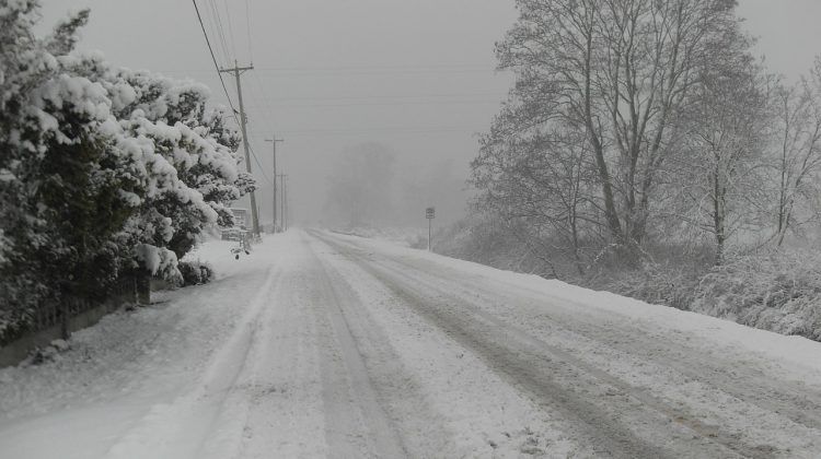 Autumn in Winter  A widespread snowfall in November creates