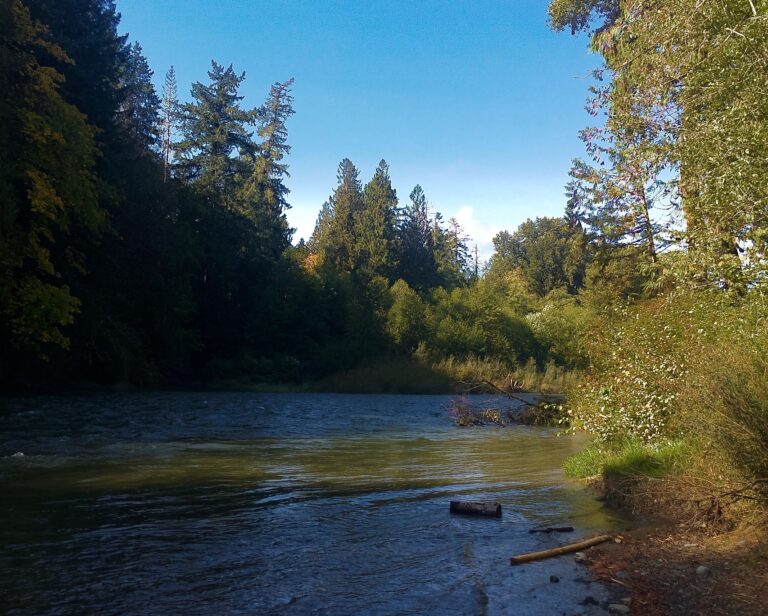 Cowichan River earns number two fishing spot in Canada
