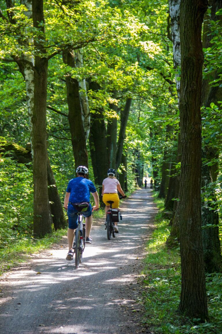 New family biking program supported by Community Wellness Grant