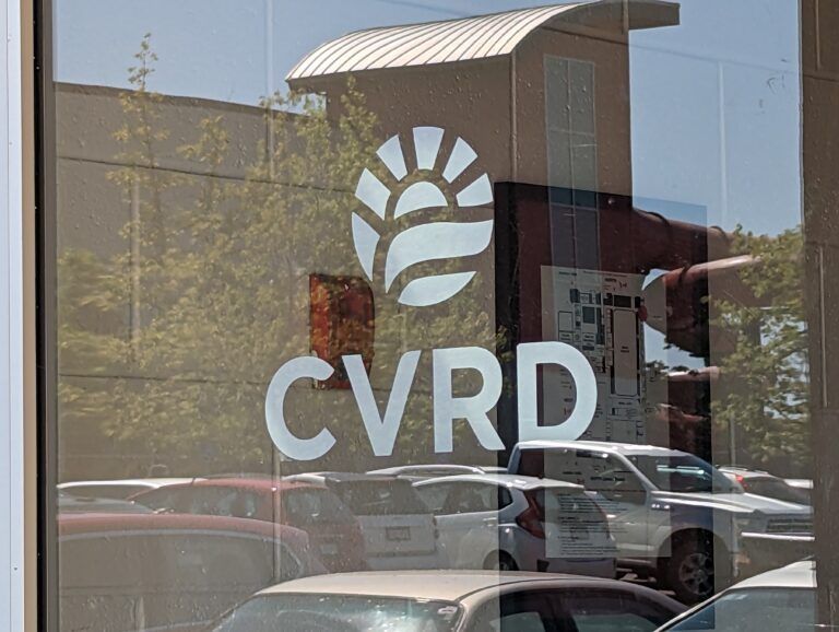 CVRD seeking looks to the future of art in the Cowichan Valley