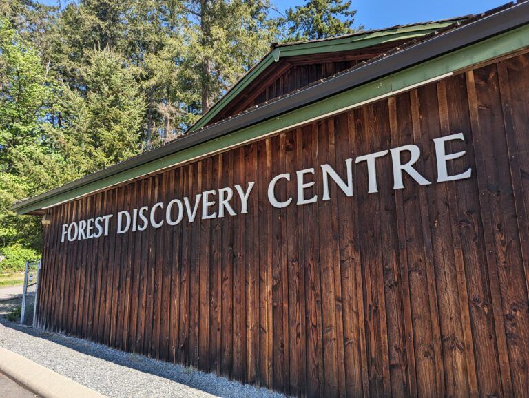 Annual Father’s Day event returns to the Forest Discovery Centre