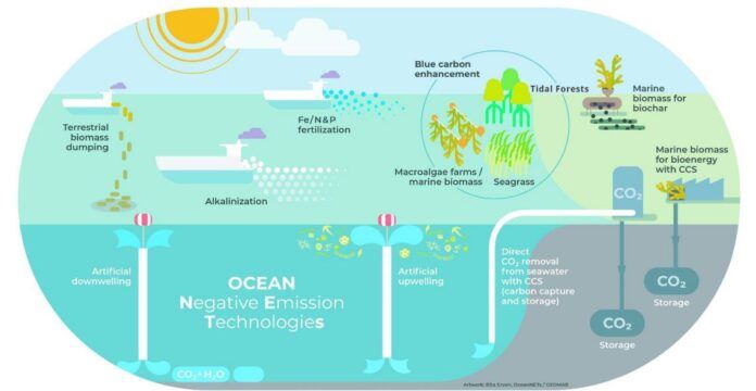 Seafood producers get funding help to manage climate change challenges