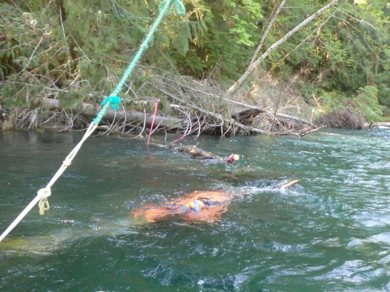 Cowichan River Considered Too Dangerous for Tubing this Weekend
