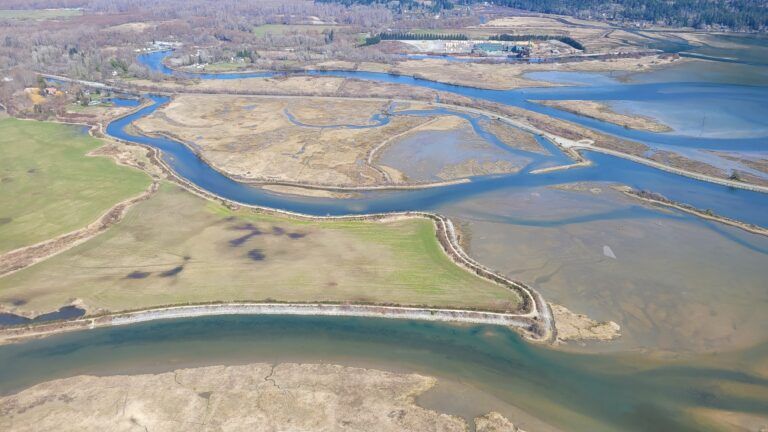New project will see complete reimagining of the Cowichan Estuary