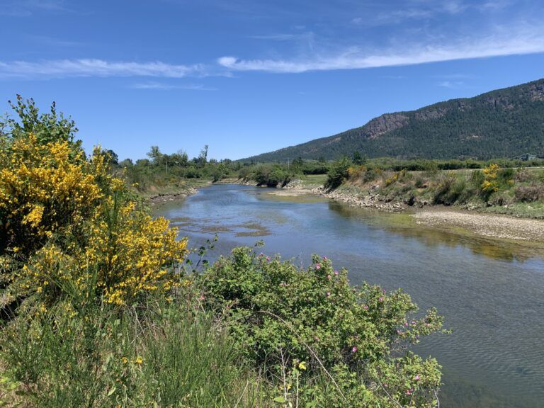 Province limits water drawn from Koksilah Watershed after low stream flow