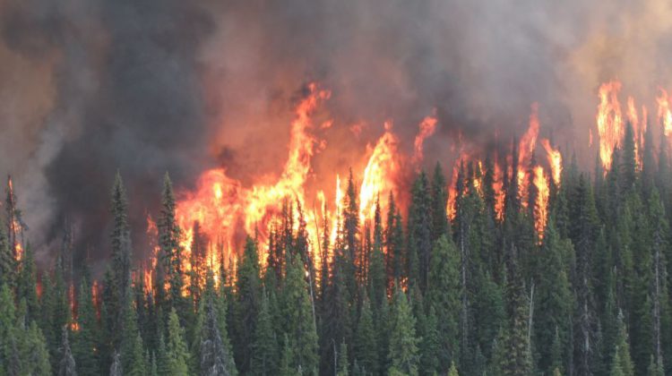 Province boosts wildfire prevention with summit 