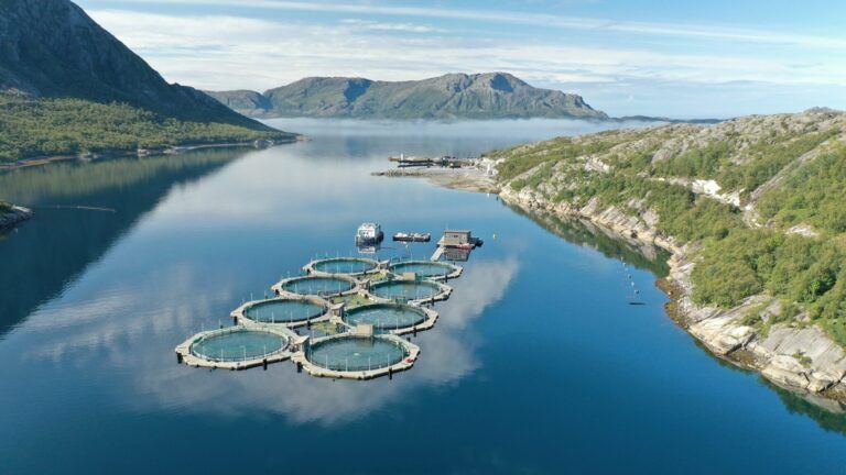 New company hopes to build closed-containment salmon farms capable of 8,000 tonnes