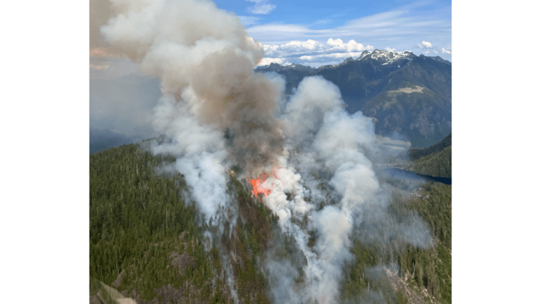 Out of control wildfire near Gold River no threat to village: BC Wildfire Service