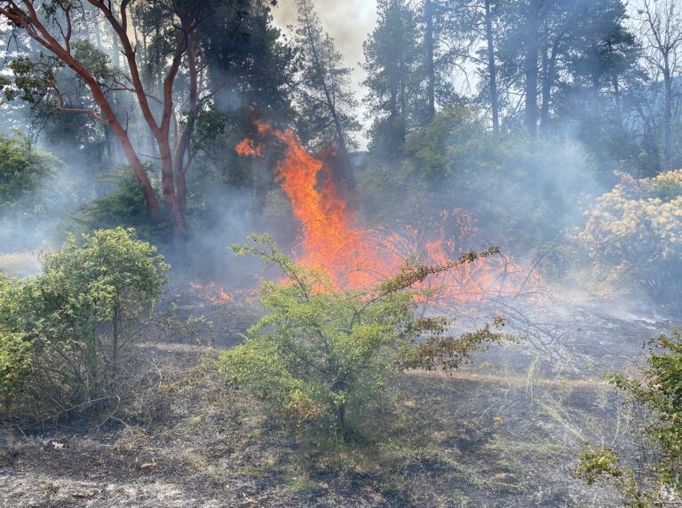 Arrest Made After Several Fires Set Along Nanaimo Parkway