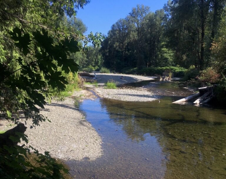 Falling River Levels Highlight Need for New Watershed Management Practices