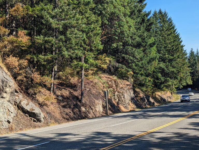 Investigation into ‘suspicious’ Malahat fire underway