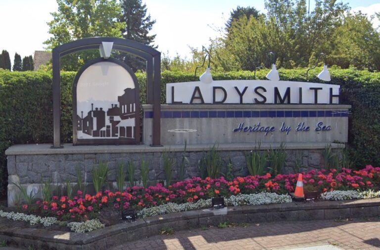 Town of Ladysmith opens submissions for 2024 Public Art Banner Program