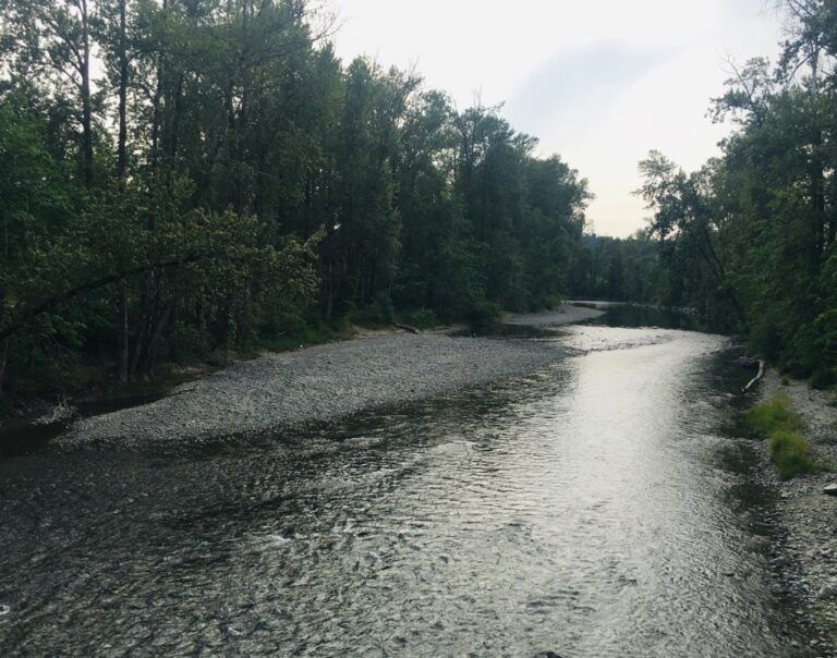 Not Enough Rain Yet to Shut Down Pumps Supplying Water to the Cowichan River