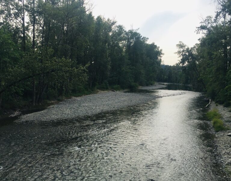 Still a risk of drought this summer, but cooler, wetter weather is on the way