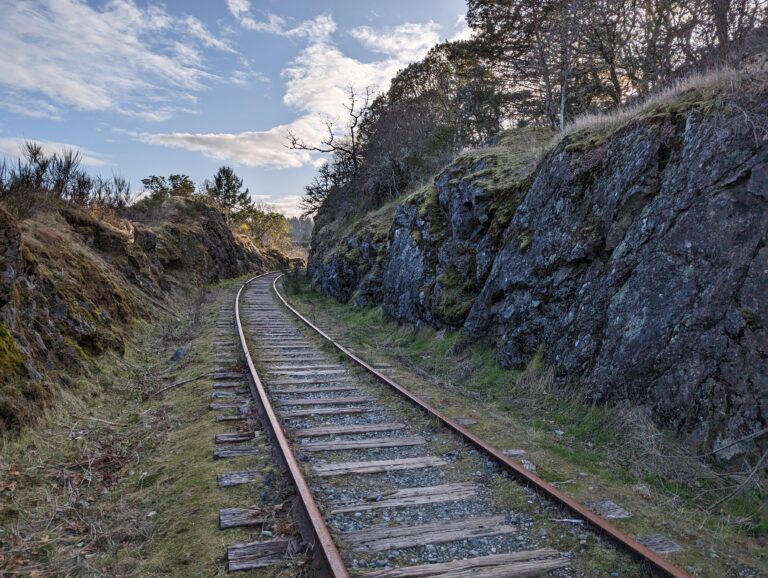 Island rail line tree removal clean-up affecting Duncan Street