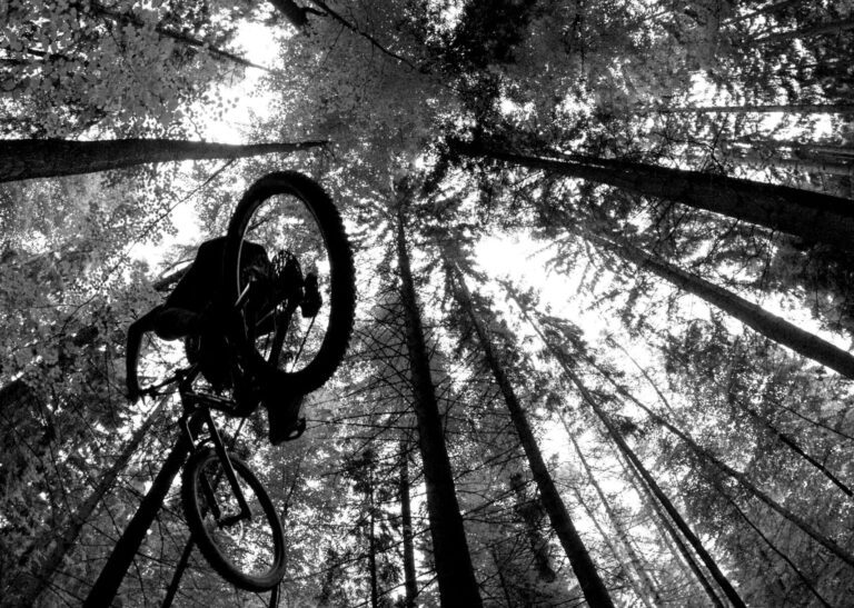 Province provides funding to help economic development projects in Cowichan