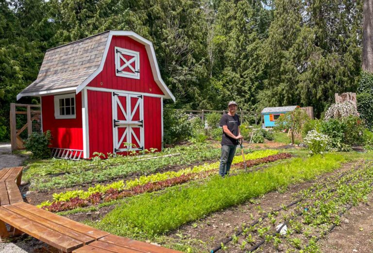 Mobile kitchen on the Sunshine Coast aims to boost local food scene