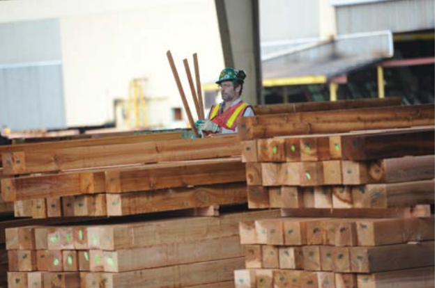 Forestry unions team up to push government to help struggling workers