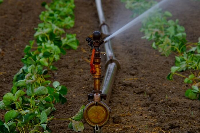 More drought preparedness funding promised for B.C. farmers