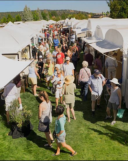 Local expo aims to make climate solutions approachable for everyone 
