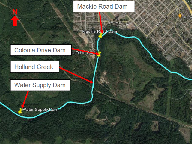 Town of Ladysmith seeks public input on Mackie Dam removal