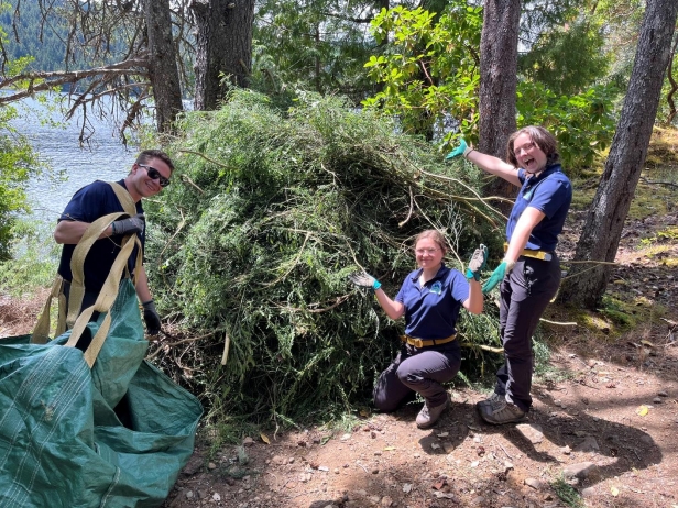 CVRD wraps up years long project to remove invasive plants from Memory Island