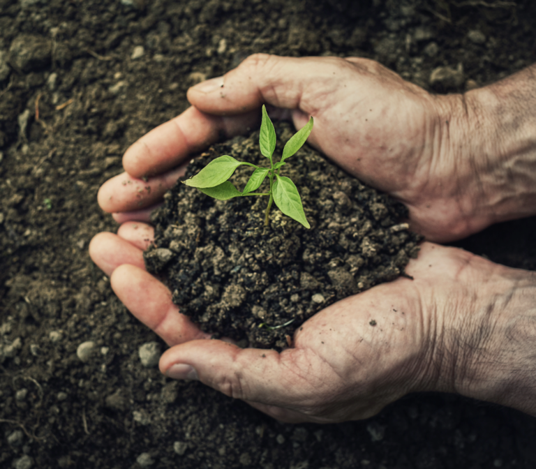 Innovators and agriculture enthusiasts attend farming trade show 