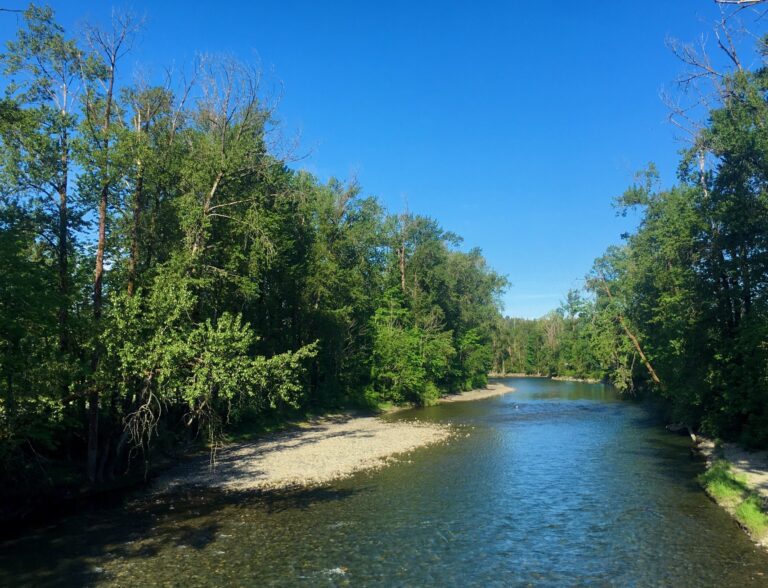 Cowichan River flow being reduced this week
