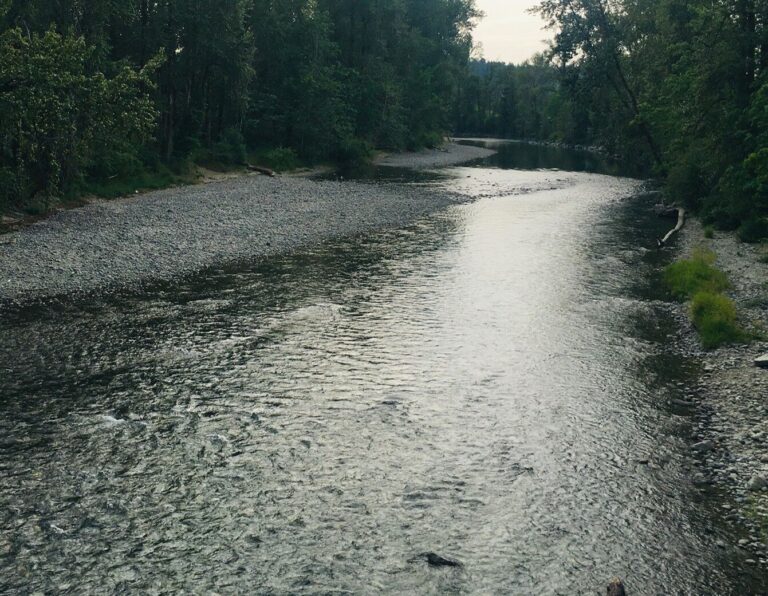 Cowichan Lake remains steady, but predictions for the summer will have to wait