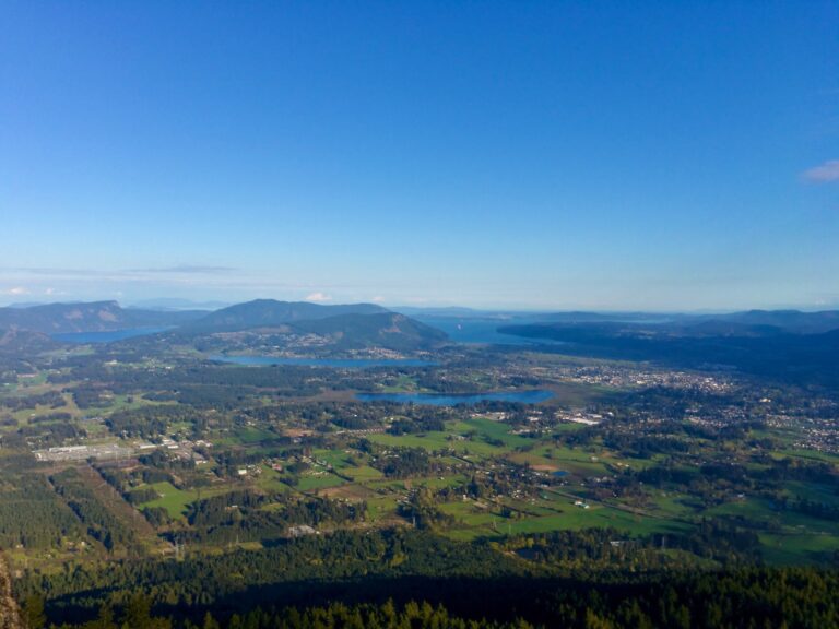 Business resilience pilot project to be offered in Cowichan Valley
