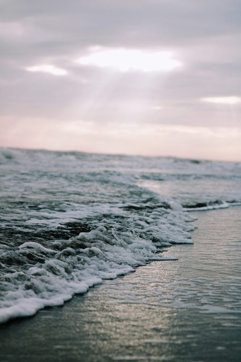 No swimming allowed at Transfer Beach due to high bacteria levels