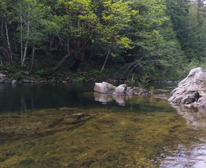 Koksilah River near Cobble Hill