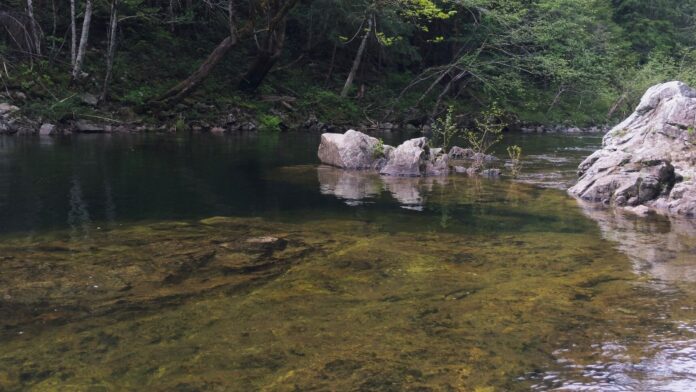 Koksilah River near Cobble Hill