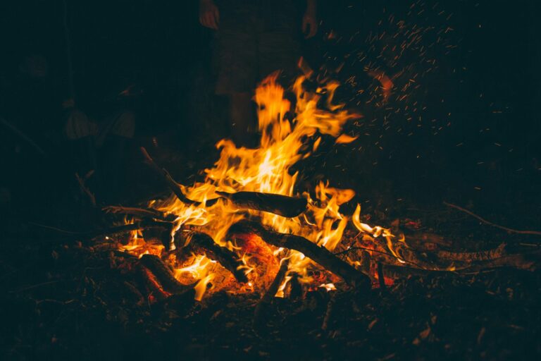 Campfire ban for Vancouver Island and South Coast starts this week