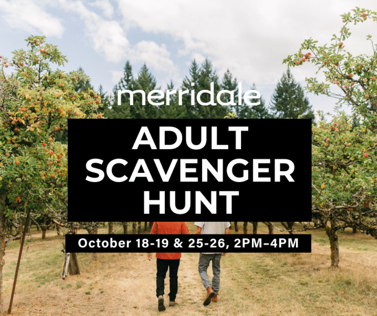 Spirit Adult Scavenger Hunt