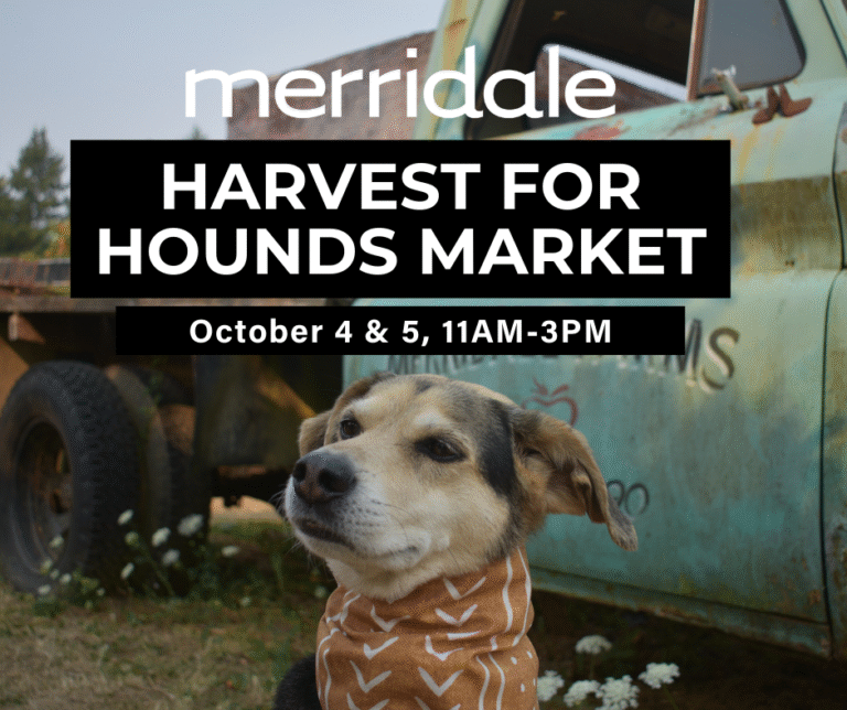 Harvest for Hounds Market